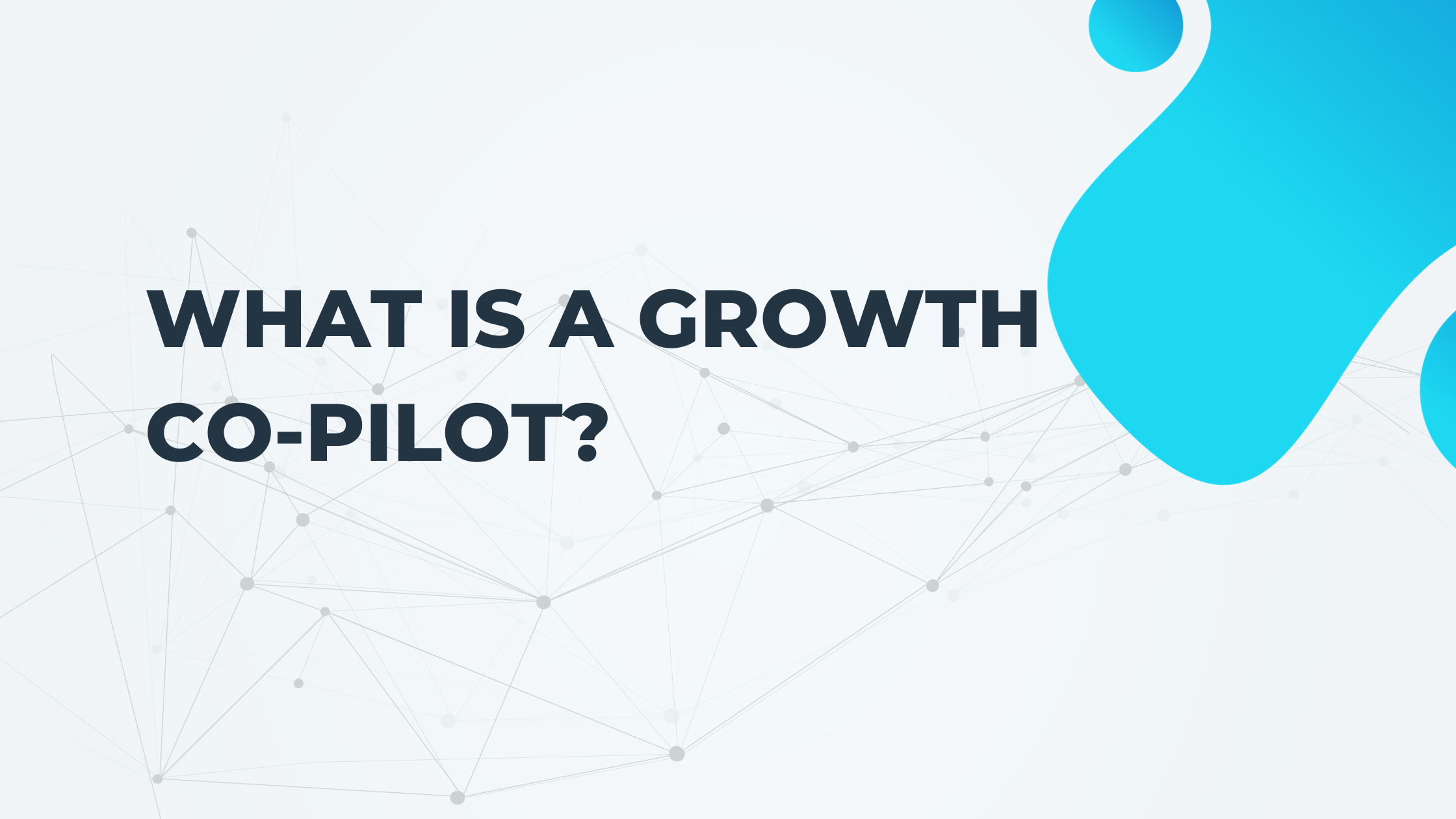 What is a growth co-pilot
